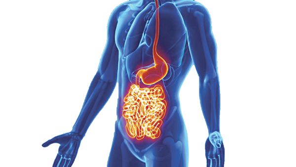 Bệnh viêm ruột và cách điều trị hiệu quả nhất