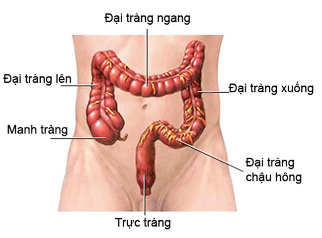 co thắt đường ruột do bệnh đại tràng