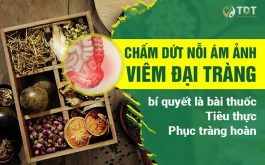 Bài thuốc chữa viêm đại tràng Thuốc dân tộc