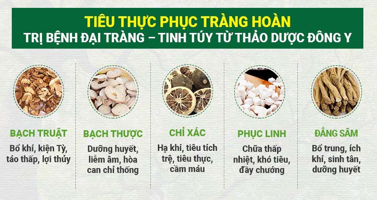 Thành phần thảo dược chính trong các chế phẩm Tiêu thực Phục tràng hoàn