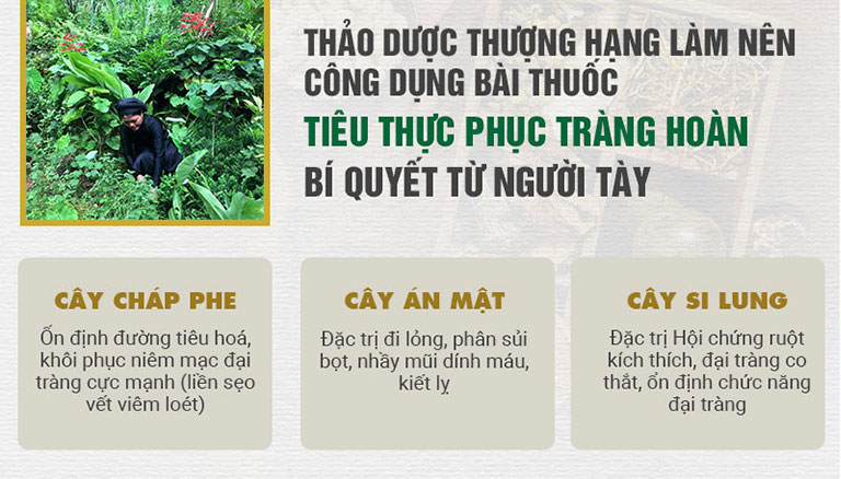 thành phần và công dụng của Tiêu thực Phục tràng hoàn: 3 vị thuốc bí truyền của người Tày trong Tiêu thực Phục tràng hoàn