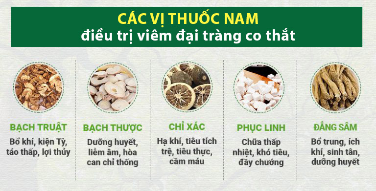 Một số dược liệu quý trong thành phần của Tiêu thực Phục tràng hoàn