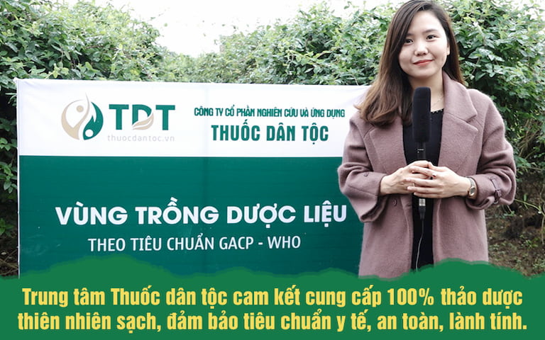 Hình ảnh tại một trong những khu Vườn dược liệu Đông y của Trung tâm Thuốc dân tộc